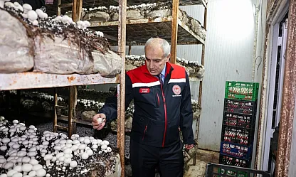 Malatya'da Alternatif Üretim Atağı: Akçadağ'da Mantar Tesisi!