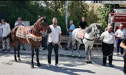 Malatya'nın Şampiyon Rahvan Atı Kaçkar İçin Yeni Hedef!