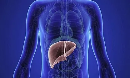 Prof. Dr. Ünal Uyardı: Karaciğer Detoksu Tehlikeli Olabilir