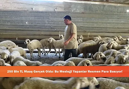 250 Bin TL Maaş Gerçek Oldu: Bu Mesleği Yapanlar Resmen Para Basıyor!