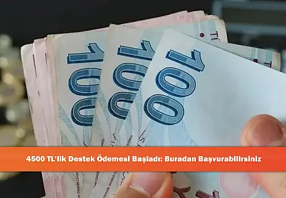 4500 TL'lik Destek Ödemesi Başladı: Buradan Başvurabilirsiniz