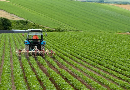 Çiftçilere Müjde! Hesaplarınızı Kontrol Edin