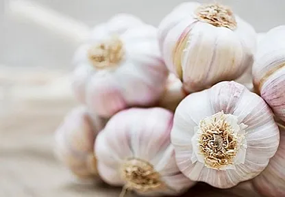 Dünya Sarımsak Piyasasında Dengeler Altüst: Çin'in Rekor Üretimi Avrupa'yı Zor Durumda Bıraktı