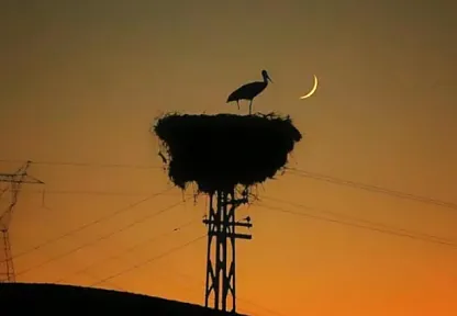 Elektrik Fiyatlarında Yarın İçin Dikkat Çeken Rakam! Zirveyi Bu Saatte Görecek