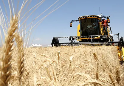 Güneydoğu'dan Hububat ve Bakliyatta 871 Milyon Dolarlık Başarı!