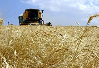 Kırsala Yatırım Hamlesi: Bakanlıktan 3 Yılda 65,5 Milyar Liralık Bütçe!