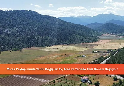 Miras Paylaşımında Tarihi Değişim: Ev, Arsa ve Tarlada Yeni Dönem Başlıyor!
