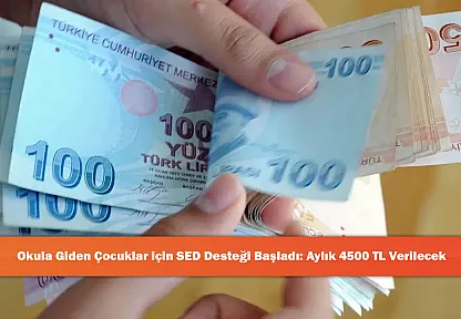 Okula Giden Çocuklar için SED Desteği Başladı: Aylık 4500 TL Verilecek