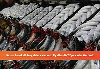 Sezon Bereketi Tezgahlara Yansıdı: Fiyatlar 60 TL'ye Kadar Geriledi!