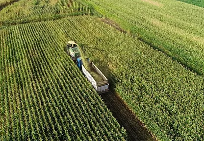 Tarım Arazilerinde Koruma Yönetmeliği Resmen Yürürlüğe Girdi!