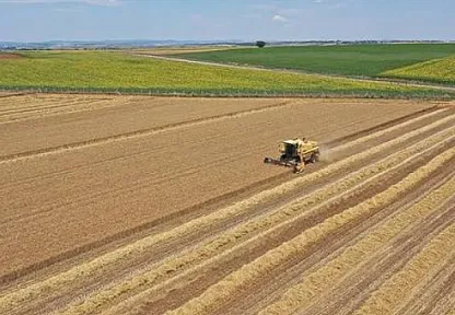 Tarımda Yeni Destek Ödemesi Açıklandı! Çiftçilerin Hesaplarına Yatırılacak