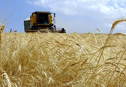 Tarımsal Üretimde Yeni Dönem! Maliyetleri Düşürecek Adımlar Atılıyor