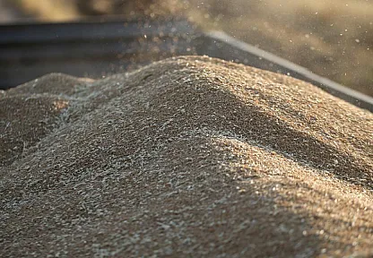 TİGEM'den 4 Bin 427 Ton Buğday İçin Satış İhalesi