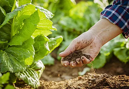 Türkiye'de Tarım Sezonu Yağışları Rekor Kırdı: Geçen Yıla Oranla Yüzde 75 Artış!