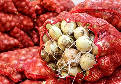 Türkiye'nin Kuru Soğan İhracatında Rekor Artış!