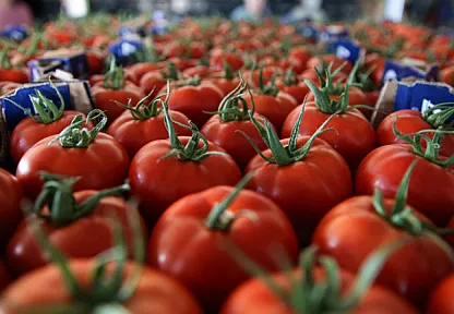 Türkiye'nin Sebze İhracatında Zirve Değişti! İlk Sırada O Ülke Var