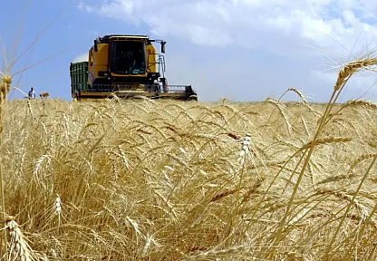 Üreticilere 634 Milyon Liralık Hibe Desteği Hesaplara Yattı!