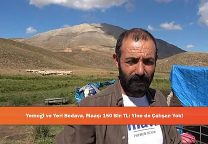 Yemeği ve Yeri Bedava, Maaşı 150 Bin TL: Yine de Çalışan Yok!