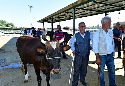 Yeşilyurt Belediyesi 41 noktada kurban satış ve kesim yeri belirledi