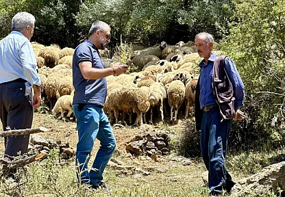 Zorlu şartlara rağmen yaylada üretmeye devam ediyorlar