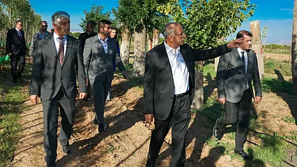 Malatya'da Yeşil Seferberlik! Her Yıl 20 Bin Fidan Üretiliyor