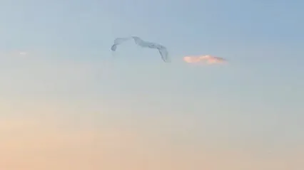 Akçadağ'da Doğanın Gösterisi! Kuşlar Gökyüzünde İz Bıraktı