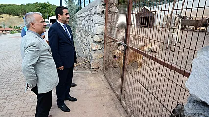 Battalgazi'de Sahipsiz Hayvan Kalmadı! 850 Kapasiteli Tesiste Yeni Dönem