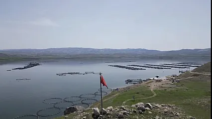 Hangi Sektör Malatya'yı Şahlandırıyor? İşte 7 Bin 500 Tonluk O Başarı Hikayesi