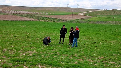 Hasatta Verim Kaybına Geçit Yok: Teknik Ekipler Boyaca'da Çiftçilerle Buluştu!