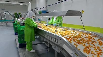 İhracata Kadın Eli Değdi: Malatya ve Bölge İllerinde Kadın Çalışanların Başarısı!