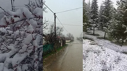 Kayısı Bahçelerinde Don Alarmı! Doğanşehir Beyaza Büründü
