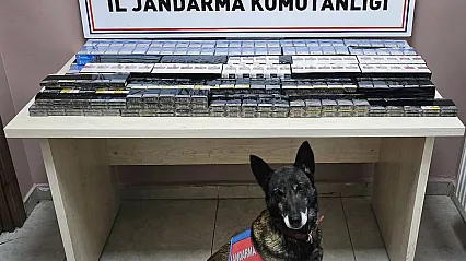 Malatya Yolu Üzerinde Jandarmadan Tır Operasyonu:Kaçak Sevkiyat Durduruldu