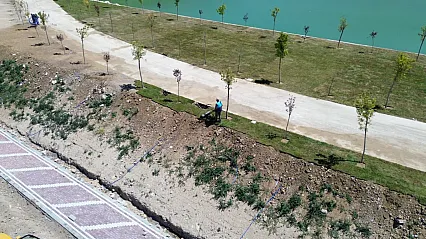 Malatya Battalgazi'de Binlerce Bitki Toprakla Buluşuyor!