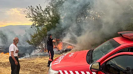 Malatya'da Alevler Besi Alanını Sardı! Yangın Söndürüldü