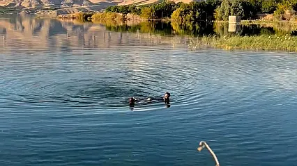 Malatya'da Barajda Erkek Cesedi Bulundu!