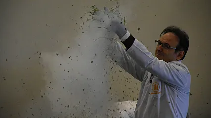 Malatya'da Çocuklar Bilim, Kültür ve Sanatla Şenlendi