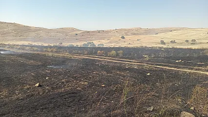 Malatya'da Ekin Tarlası Alevlere Teslim Oldu!