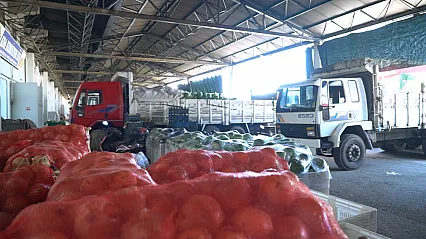 Malatya'da Hal Fiyatları Güncellendi! Hangi Ürün Kaç Liradan Satılıyor?