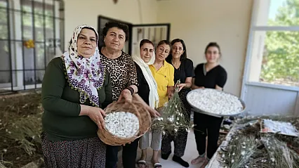 Malatya'da İpek Böceği Yetiştiriciliği Seferberliği Başlıyor!