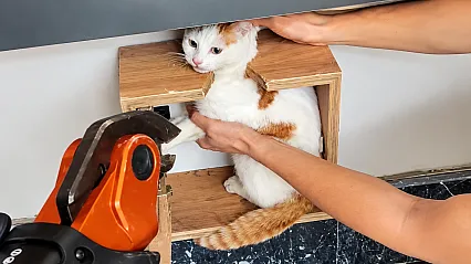 Malatya'da Minik Kedi İçin Kurtarma Operasyonu!