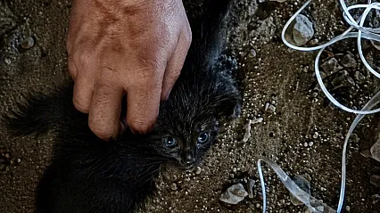 Malatya'da Nefes Kesen Kurtarma! Baca Boşluğunda Mahsur Kalmıştı