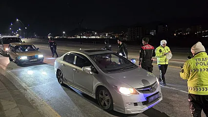 Malatya'da Park ve Mesire Alanlarında Sıkı Kontrol: 56 Araç Denetlendi