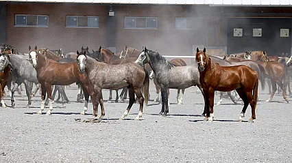 Malatya'da Şampiyonların Yeni Nesli Pistlere Hazırlanıyor!