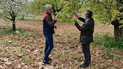 Malatya!da Tarım Alanlarında Hasar Tespit Alarmı! Üreticinin Kaybı Yerinde İnceleniyor