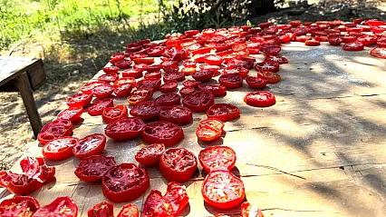 Malatya'da Yazın Bereketi Kışa Hazırlanıyor!