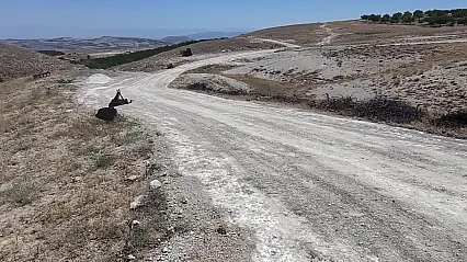 Malatya Dikenli Mahallesi'nde Yol Sorunu Yıllardır Çözülmeyi Bekliyor!