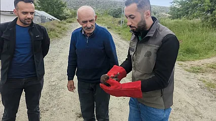Malatya Doğanşehir'de Annesiz Kalan Yavru Sansar Koruma Altında!