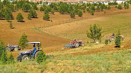 Malatya Doğanşehir'de Mezarlıkta İmece Çalışması!