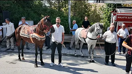 Malatya'nın Şampiyon Rahvan Atı Kaçkar İçin Yeni Hedef!