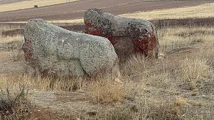Malatya'nın Tarihi Eserleri İçin Yerinde Koruma Onayı